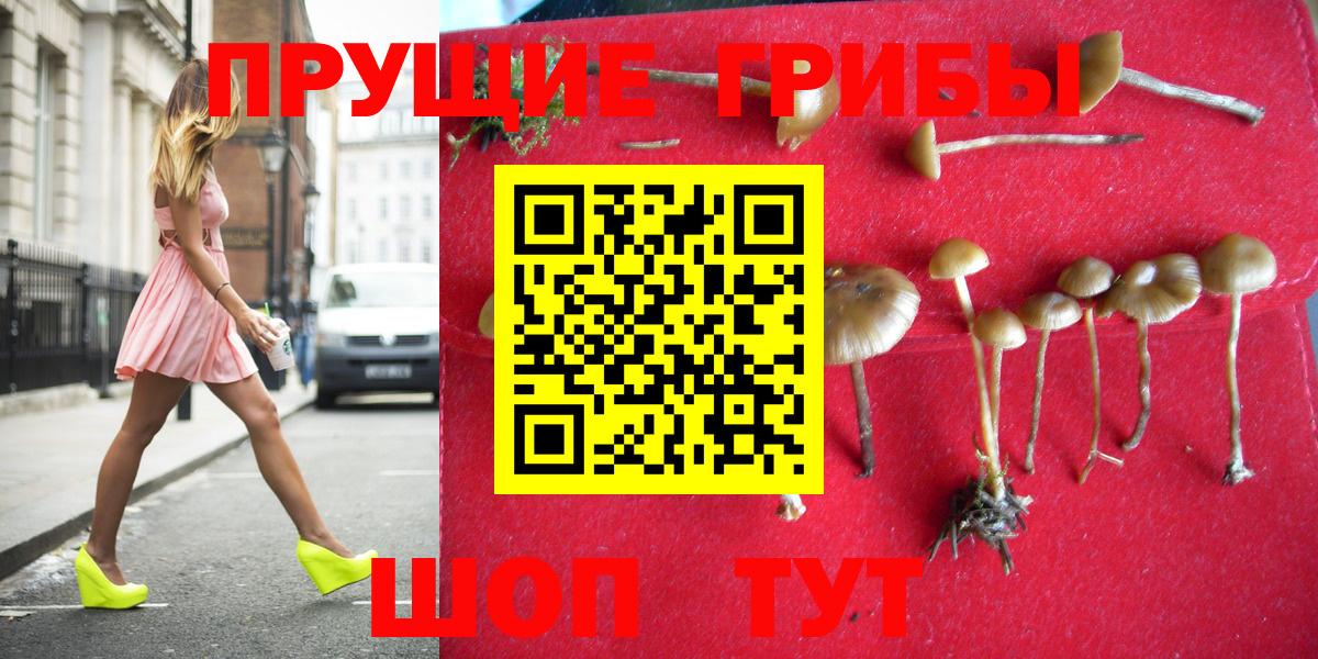 Псилоцибиновые грибы Psilocybine cubensis  Вход с VPN  Надым 